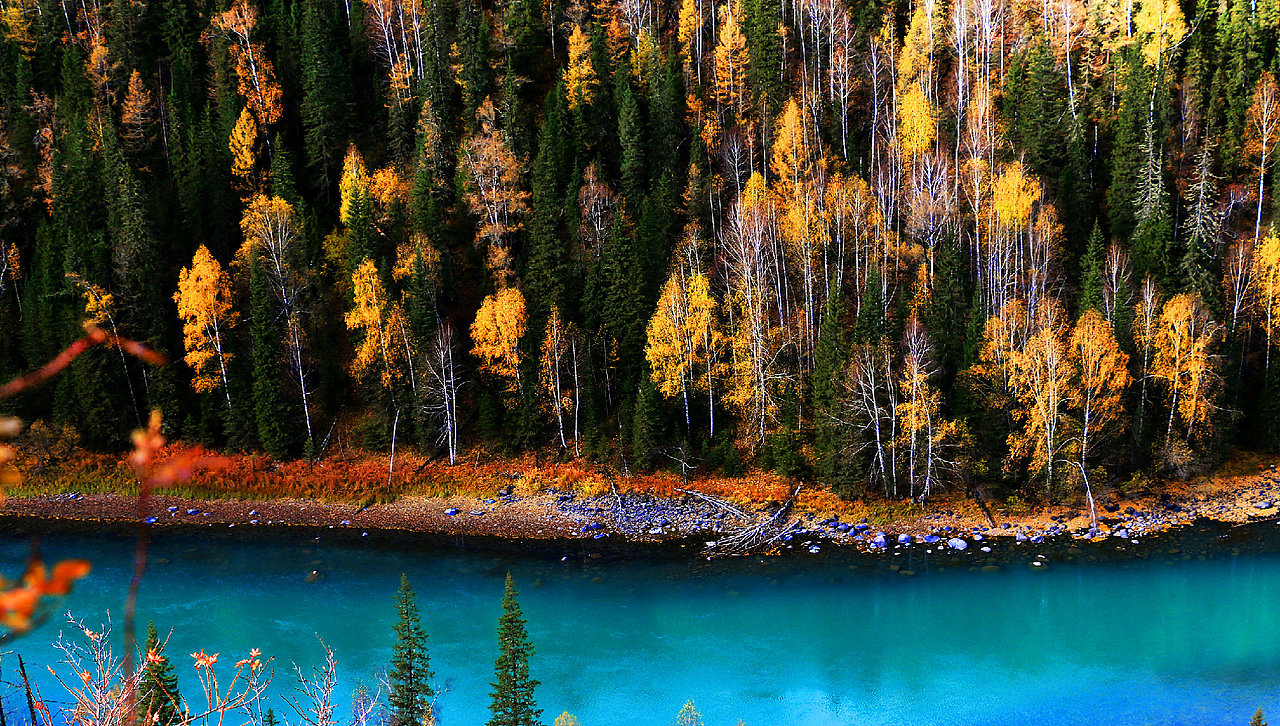 新疆喀纳斯湖秋季全景