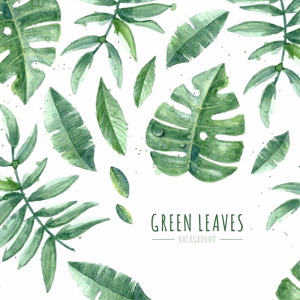 2022小清新香格里拉定制（图ZMjkwNzI5Mjcy） - 商业插画 - 站酷设计师窗帘图库原创素材 - 站酷ZCOOL