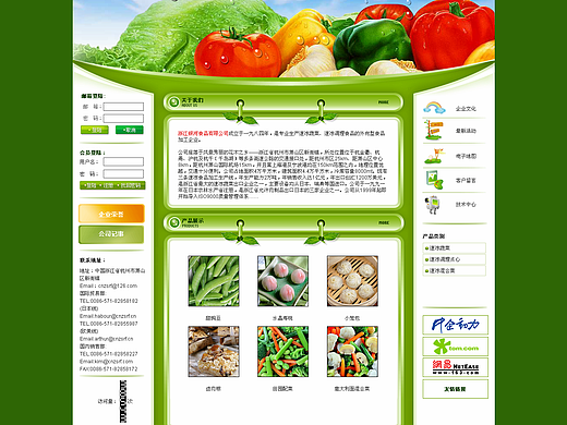 公司网站设计