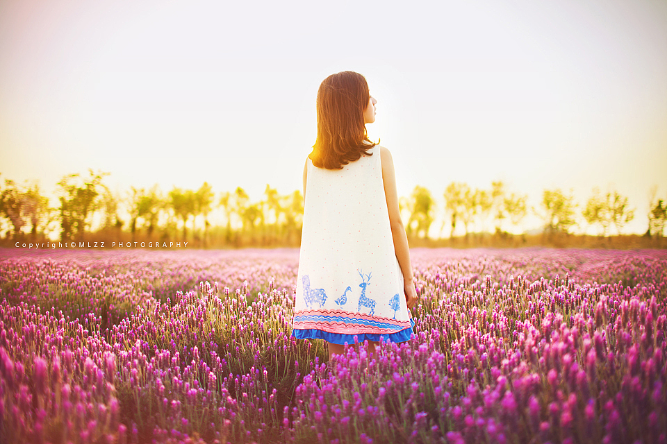 静等花开,知花语