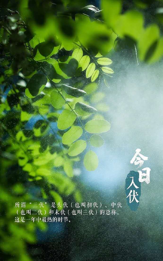 40天加长版三伏天今日开启7715|插画|概念设定|augenstern2021