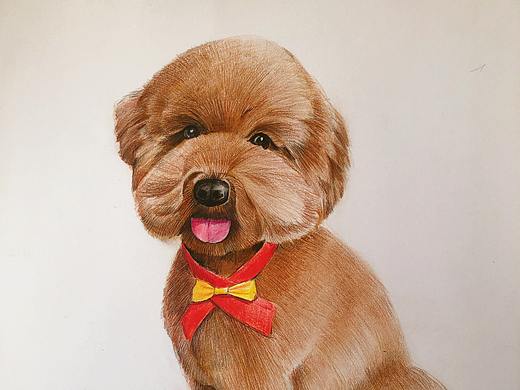 我的業(yè)余練習(xí)（個(gè)人主頁(yè)-ZNDkwMjQxODg=） - 繪畫(huà) - 站酷設(shè)計(jì)師我家阿旺原創(chuàng)素材 - 站酷ZCOOL