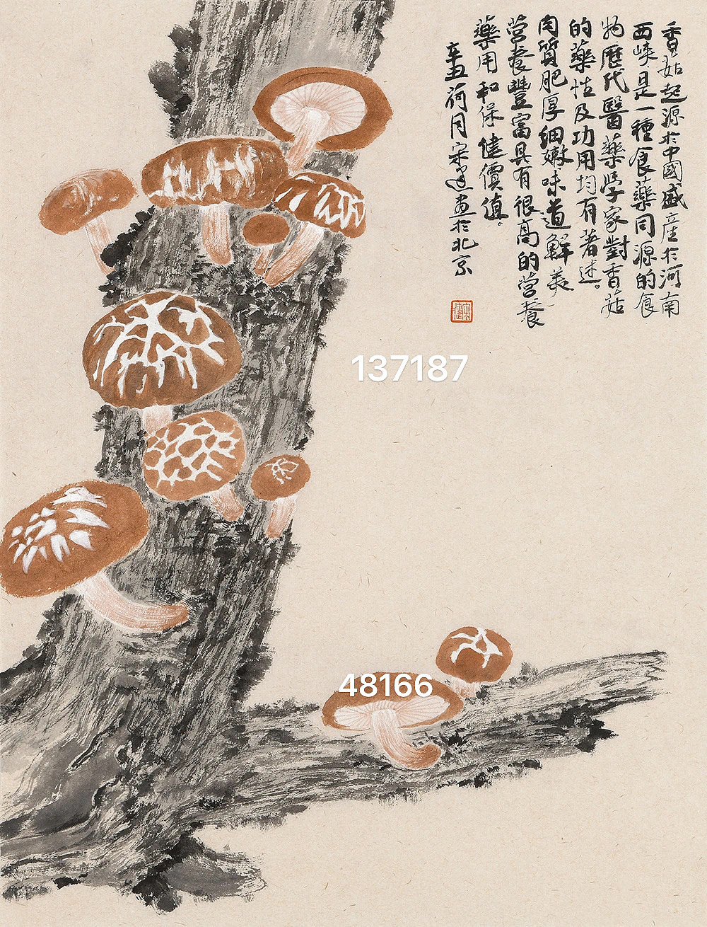 宋建花鸟画作品价格（图ZMzgyMDYzNTY0） - 绘画 - 站酷设计师艺惠藏2018原创素材 - 站酷ZCOOL