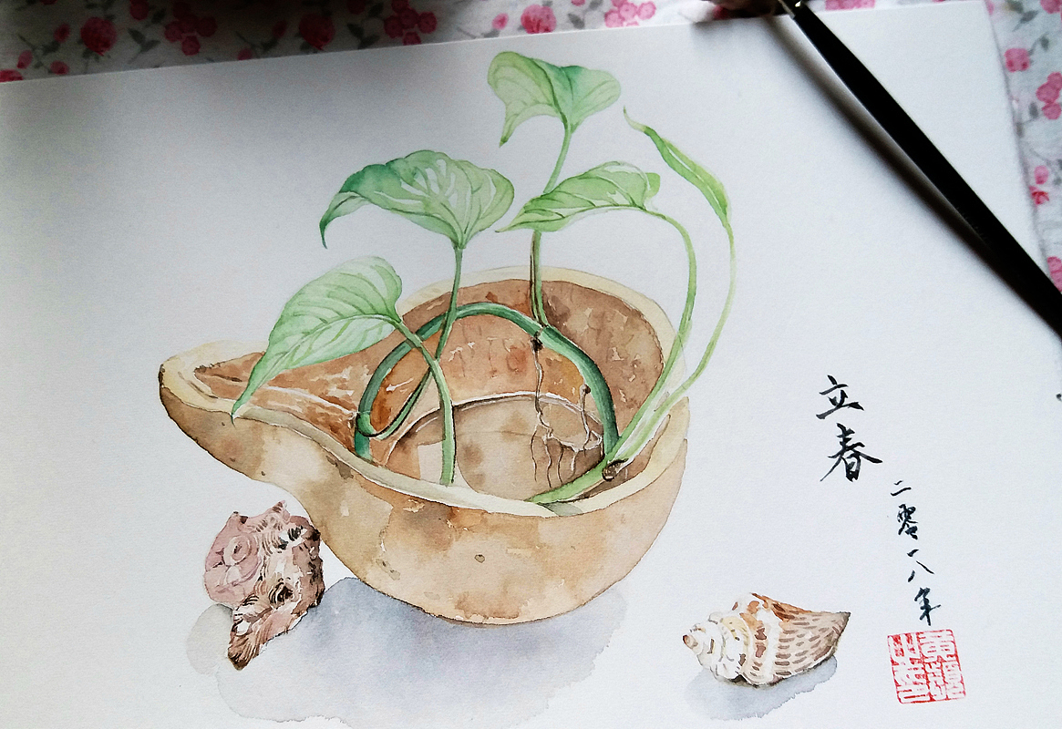 火儿水彩《立春》
