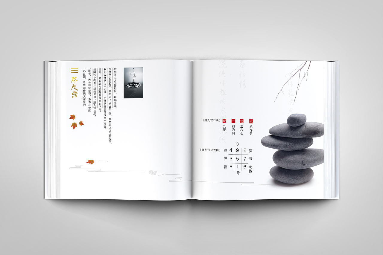 炁物元养生画册