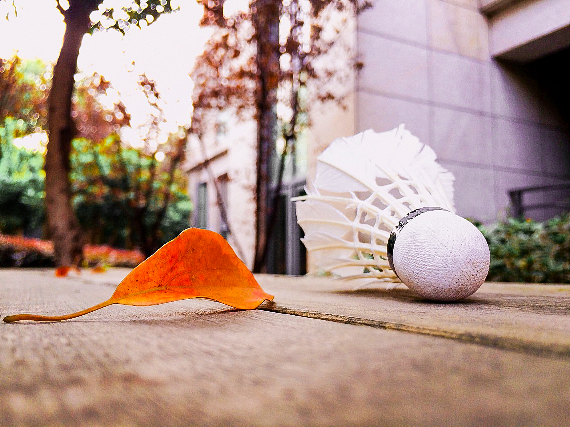 【lightroom初识】(图ZMzQxODcxNzI=) - 修图/后期 - 站酷设计师琉璃苣不畏惧原创素材 - 站酷ZCOOL