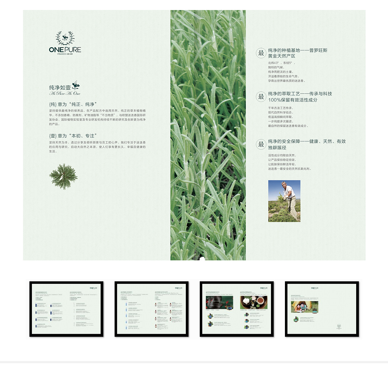 品牌建立，品牌设计，全案整理，品牌策划，包装设计