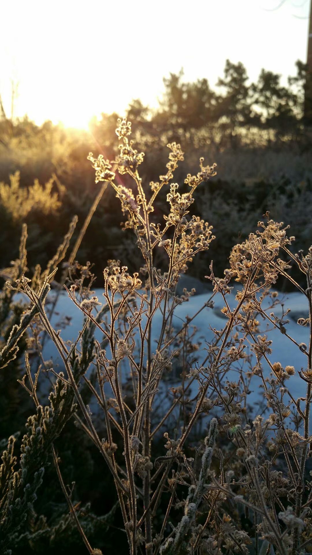 努力发现生活中的美