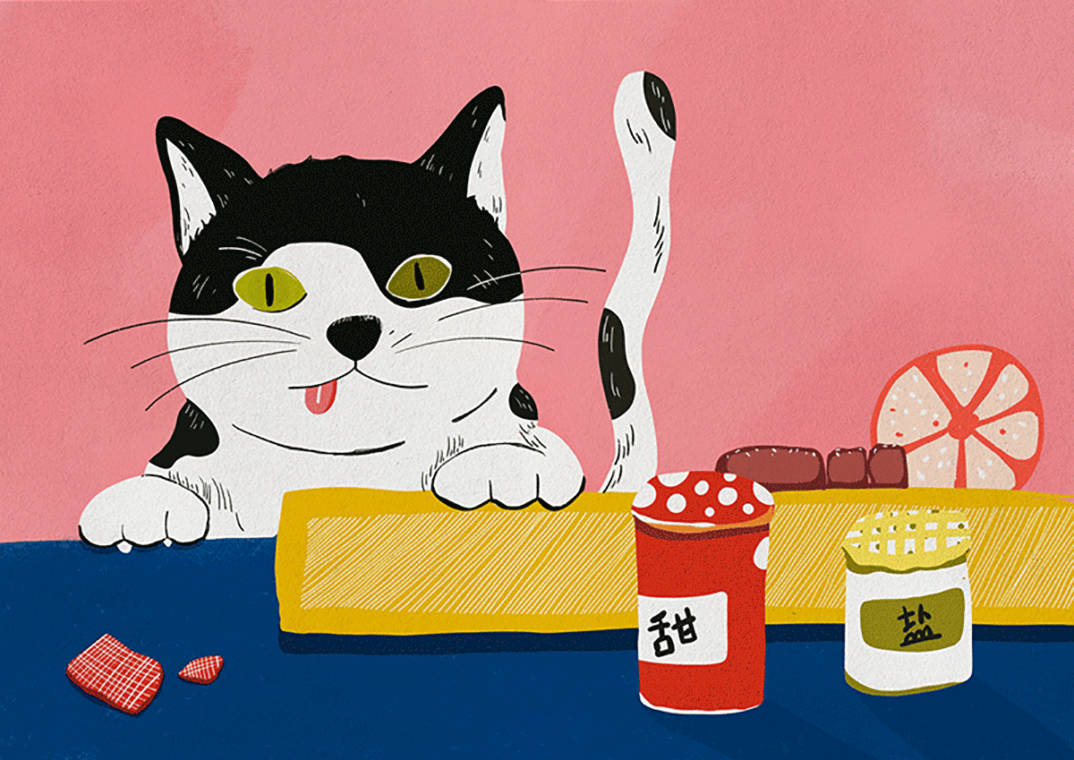 猫的故事（图ZMjAzMDU1NDIw） - 商业插画 - 站酷设计师大慧哟原创素材 - 站酷ZCOOL