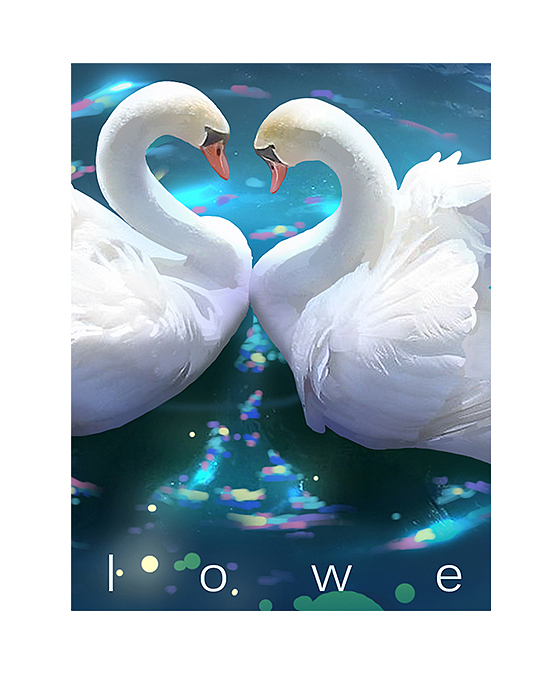 插画——飞鸟海豚（图ZMTQxMjg2MDEy） - 商业插画 - 站酷设计师mumu沐沐1原创素材 - 站酷ZCOOL