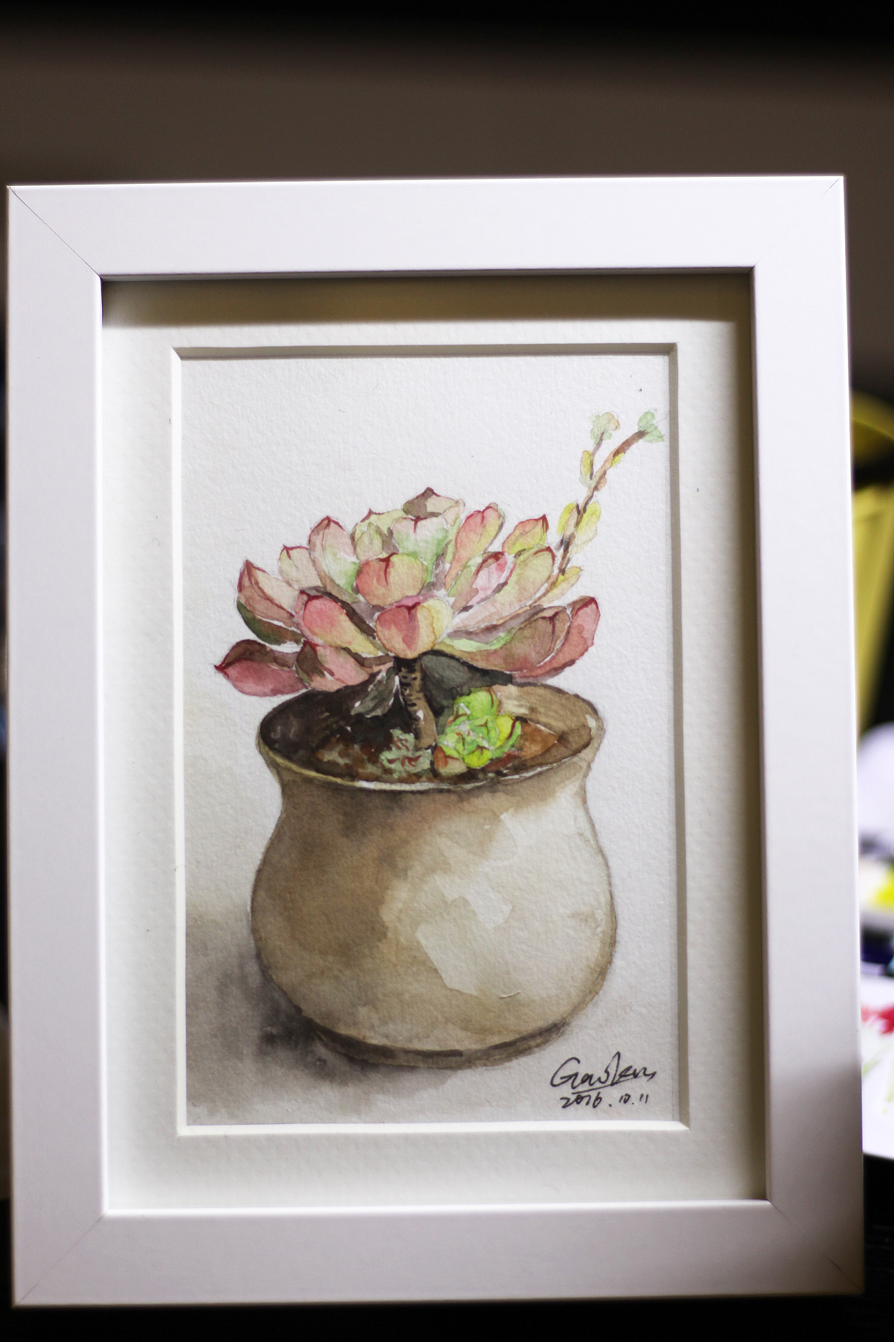 水彩多肉 粉红佳人|插画|创作习作|高_小花丶 - 原创作品 - 站酷