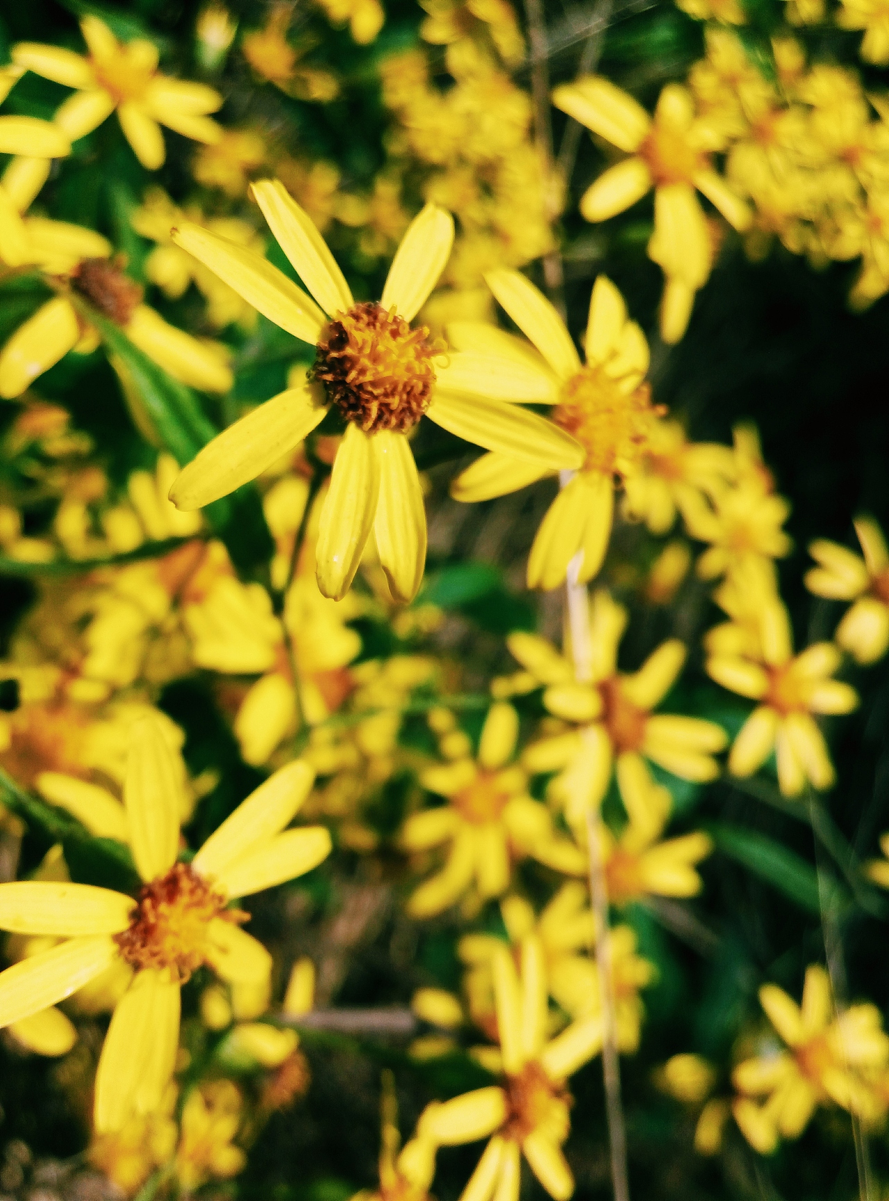 拜年的时候发现了这个