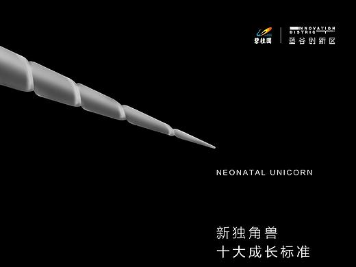 碧桂园项目提报方案