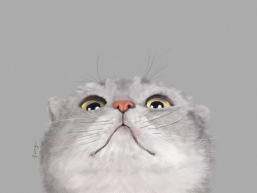 闲来无事手绘一只猫