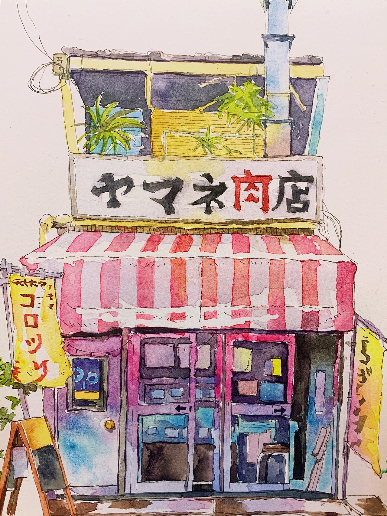 太累了,没时间好好拍,睡了睡了。