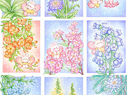 花卉插画图鉴合集｜第三期
