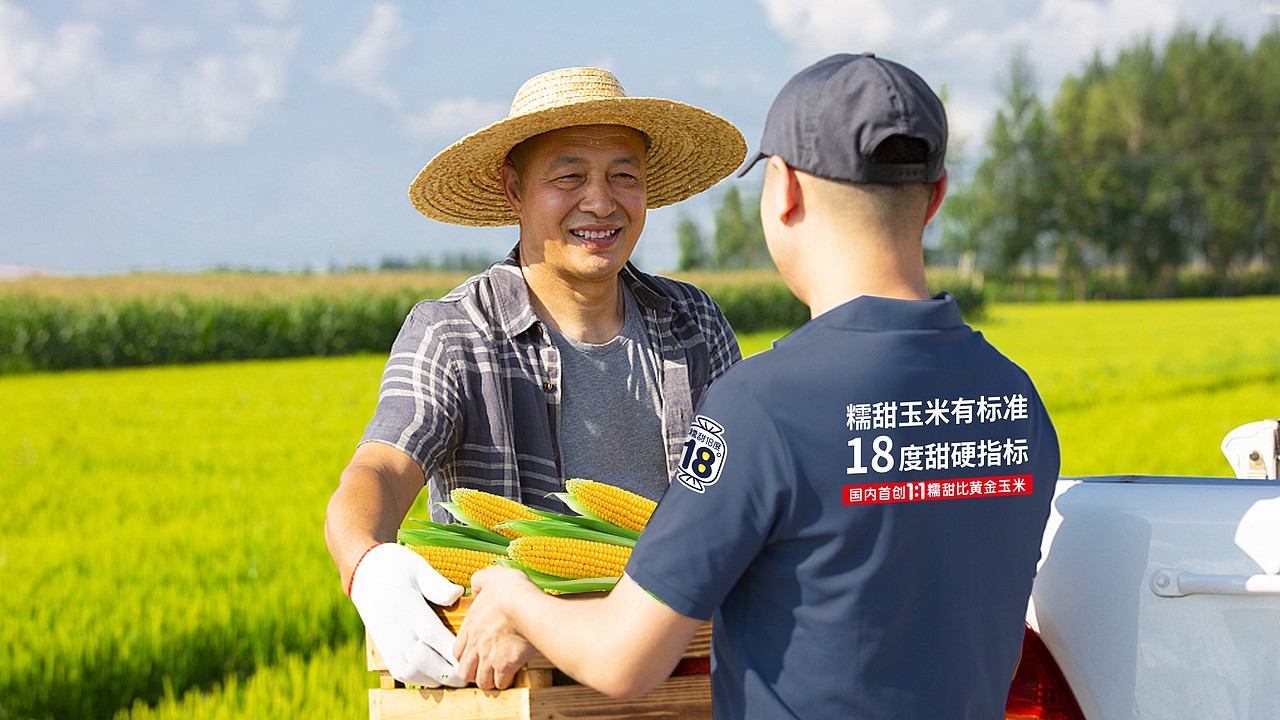 糯甜十八度鲜食玉米品牌包装设计