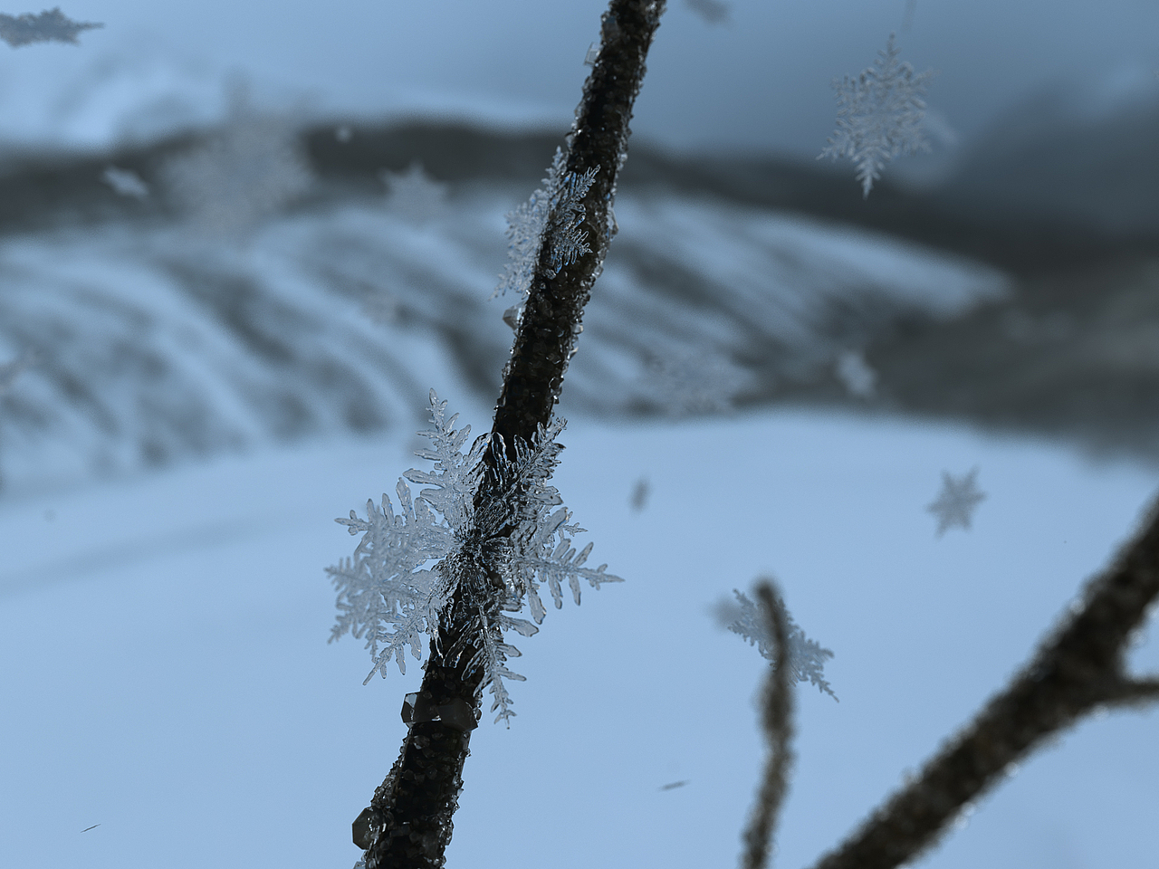 C4D渲染原创自然场景（图ZMzMyMDIzMzI4） - 场景 - 站酷设计师林大蛋原创素材 - 站酷ZCOOL