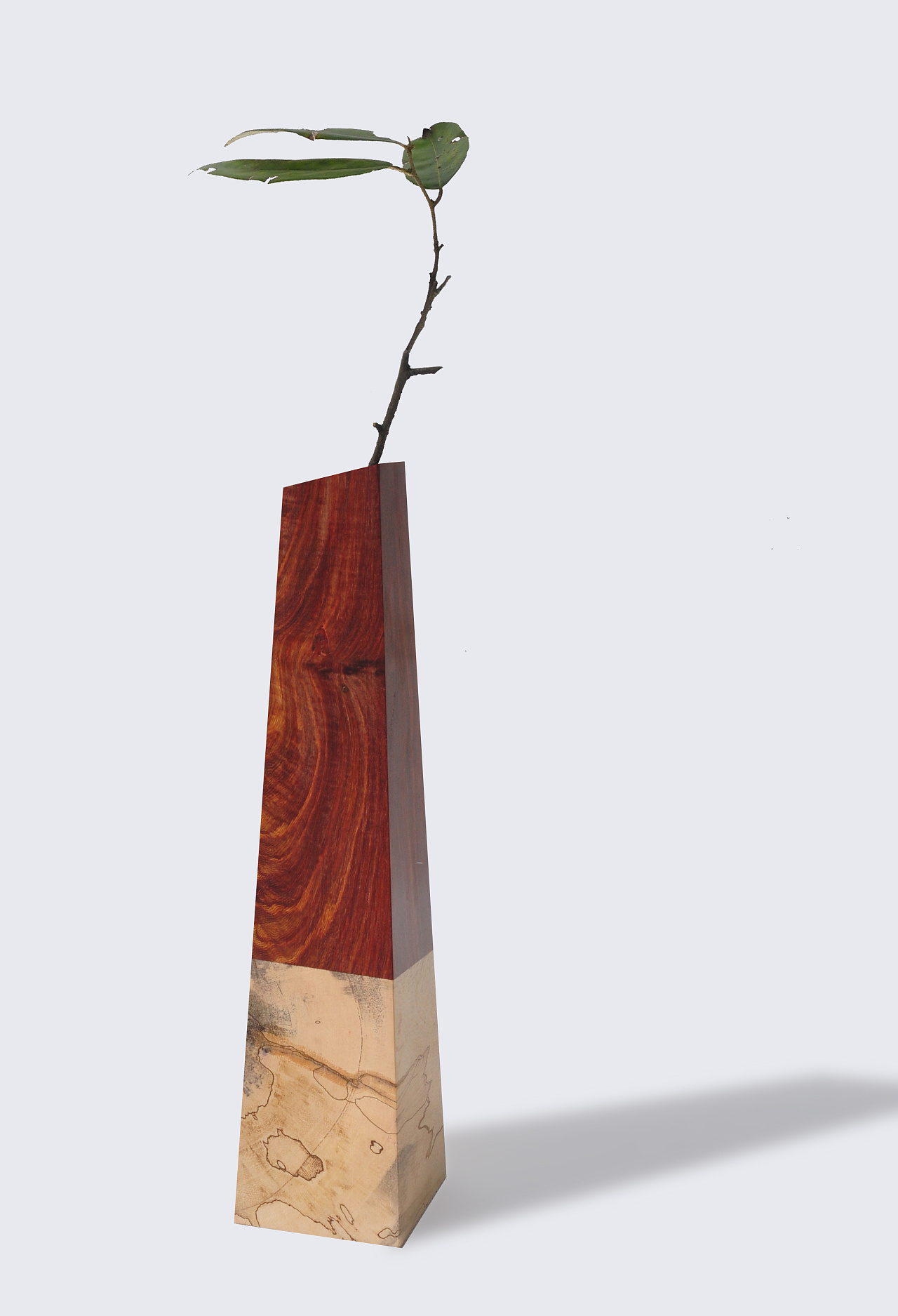 非洲小叶紫檀 渍纹枫木