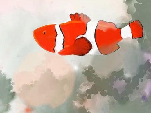 海洋鱼（个人主页-ZNTA2Nzc2NzY=） - 概念设定 - 站酷设计师可乐百合原创素材 - 站酷ZCOOL