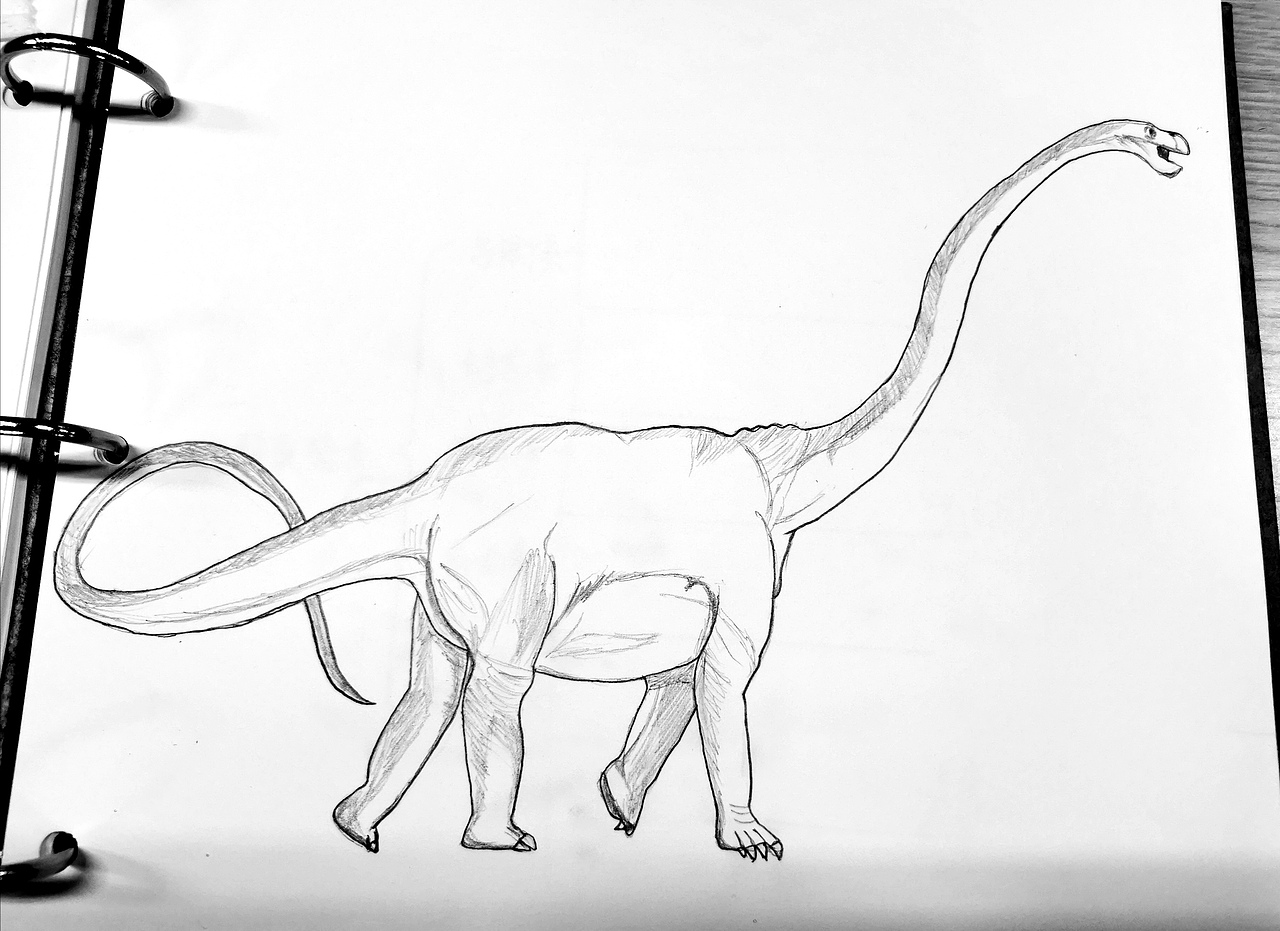 蜥脚类: 马门溪龙