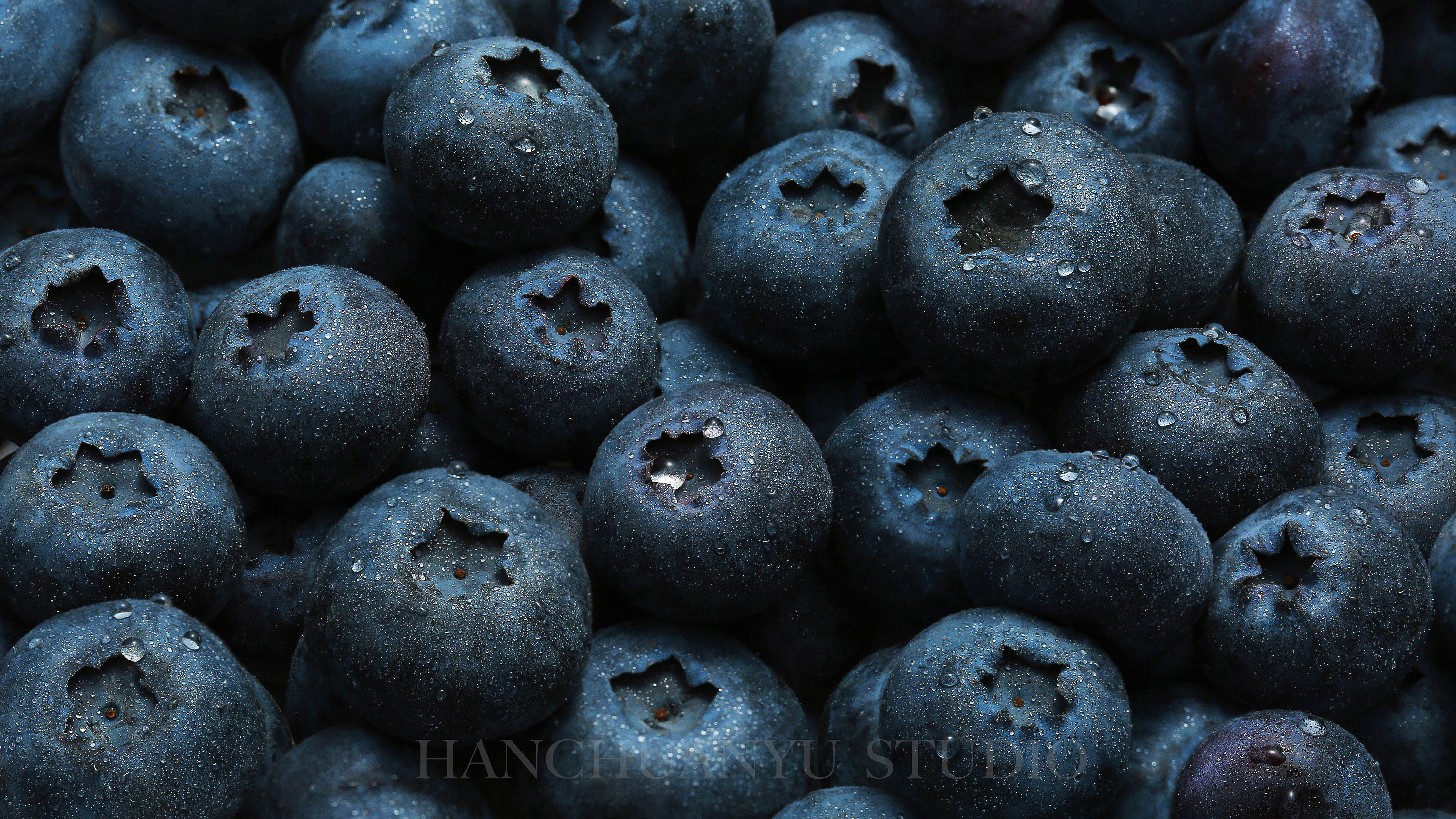 水果肖像之---蓝莓