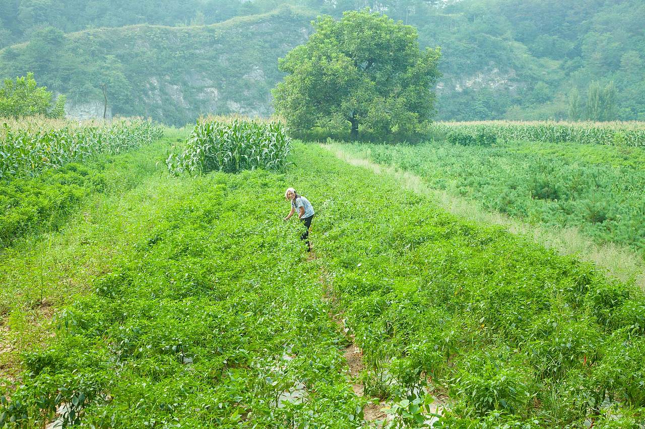 陕西洛南旅游扶贫摄影花絮集合