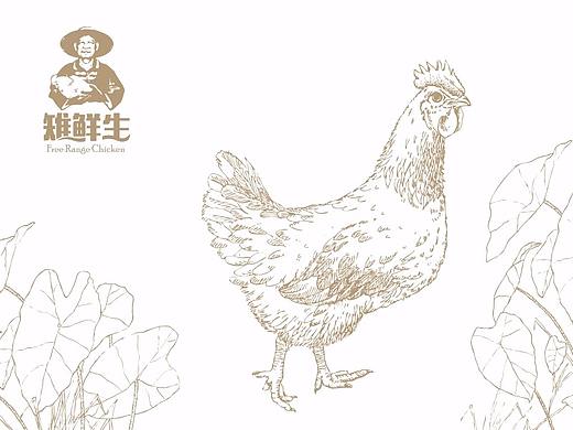 生鲜产品—雉鲜生