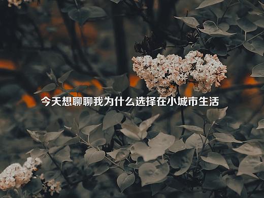 小城市里的慢时光（个人主页-ZNTE0NDQ0NDA=） - 人文/纪实摄影 - 站酷设计师是念梦原创素材 - 站酷ZCOOL