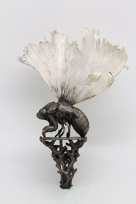 【秋蝉的轮回】