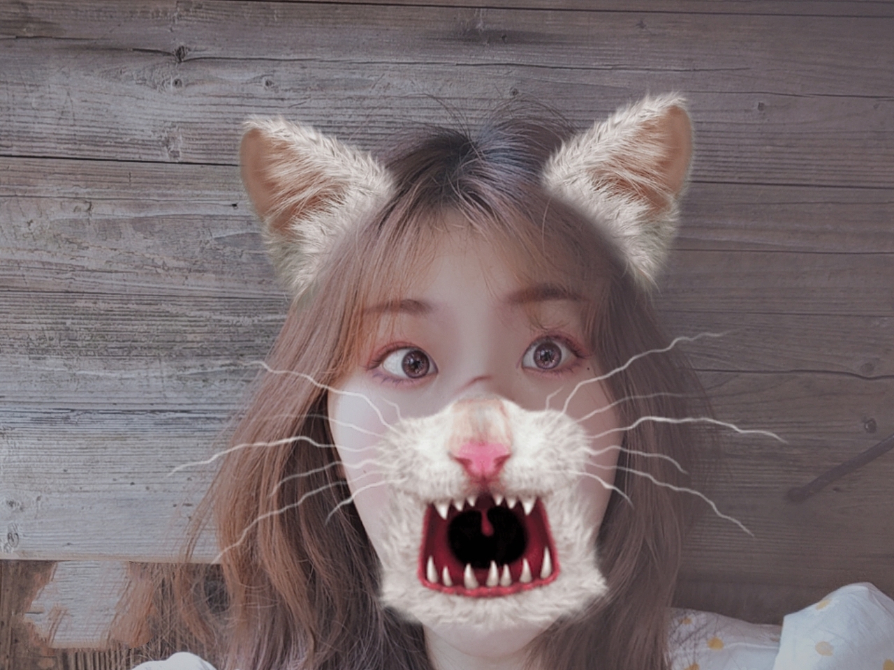 生活照 今天阳光明媚 开心舒适