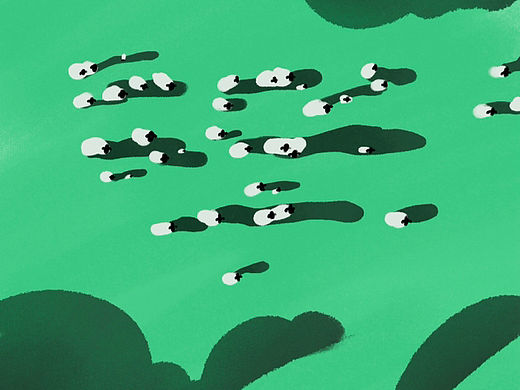 绵羊(第6画)
