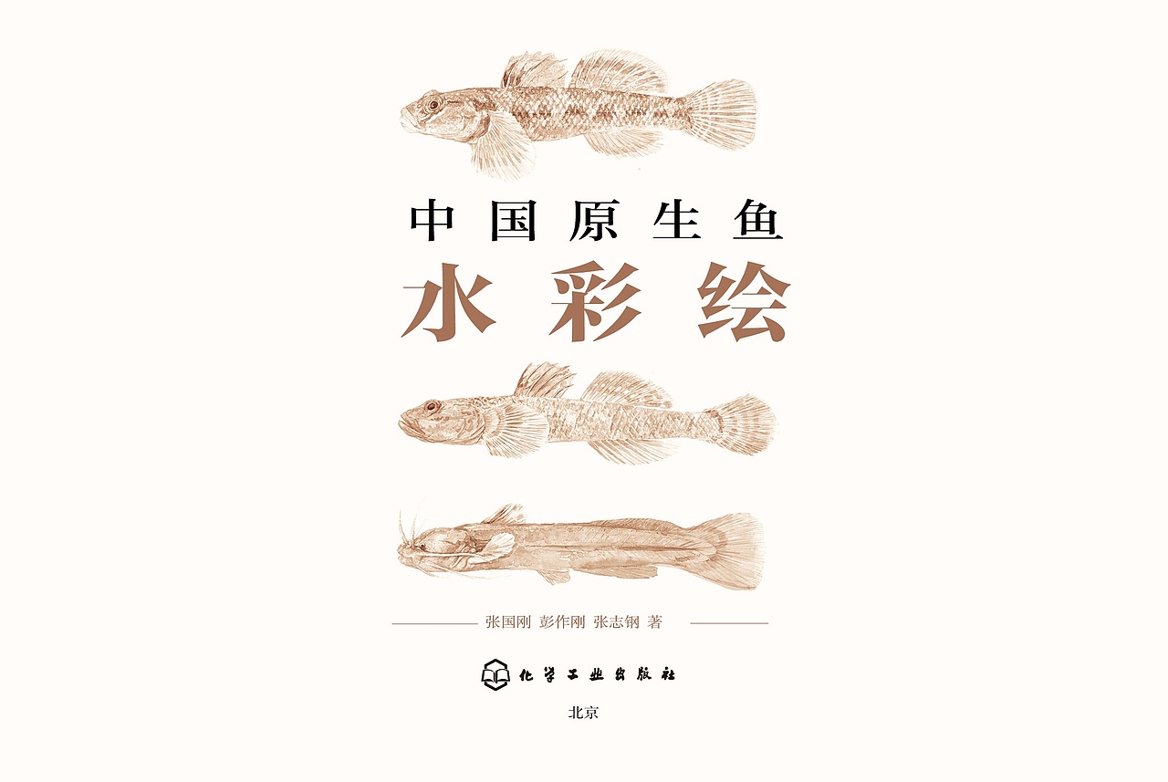 《中国原生鱼水彩绘》,即将出版的作品.