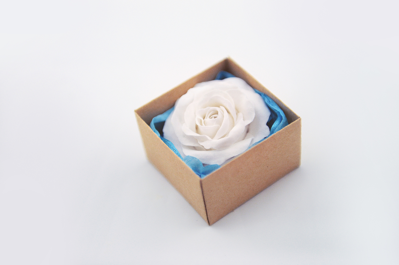 超轻粘土——玫瑰花（图ZMjQ3NDk0MTI=） - 其他手工艺 - 站酷设计师爱卡IXcat原创素材 - 站酷ZCOOL