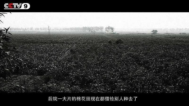 菜男十年陈豆瓣酱,闭上眼,用心体味着时间的味道(图ZMTAwNDAyNDg=) - 产品摄影 - 站酷设计师菜男原创素材 - 站酷ZCOOL