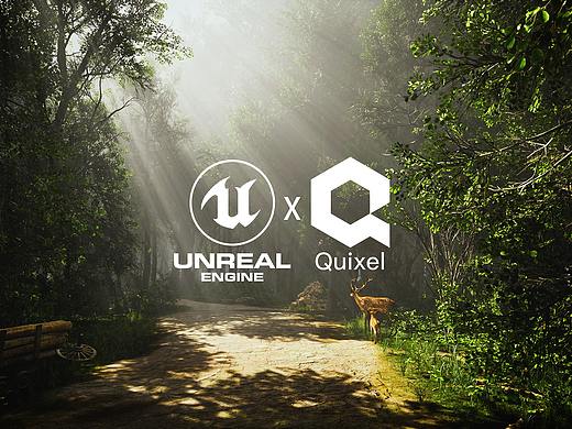 虚幻引擎 & Quixel Meascans Trees 森林场景渲染短片