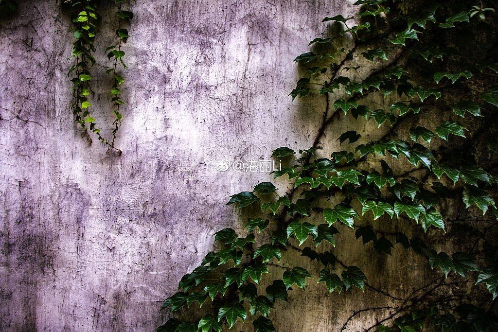 《“光”与“影”》