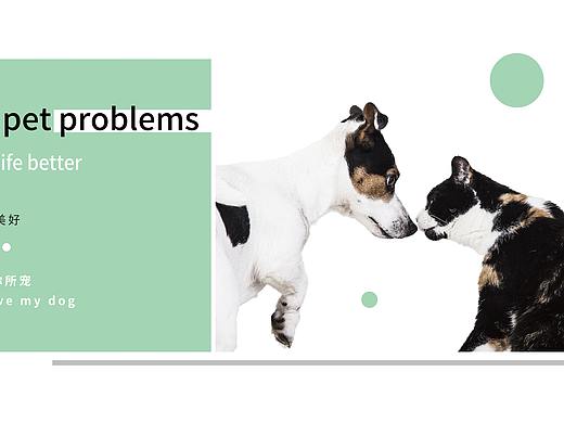 宠物背景海报（个人主页-ZNTI2NTcxNjQ=） - 海报 - 站酷设计师哎呦A尤原创素材 - 站酷ZCOOL