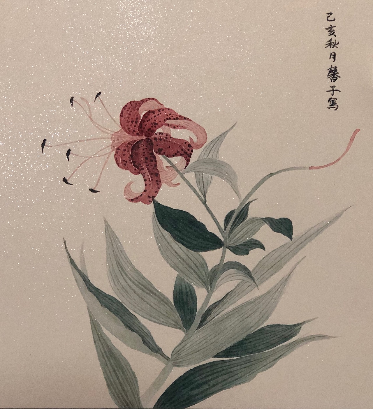 没骨花卉合集存图（图ZMTg0MjY0NjI4） - 绘画 - 站酷设计师王馨头上有犄角原创素材 - 站酷ZCOOL