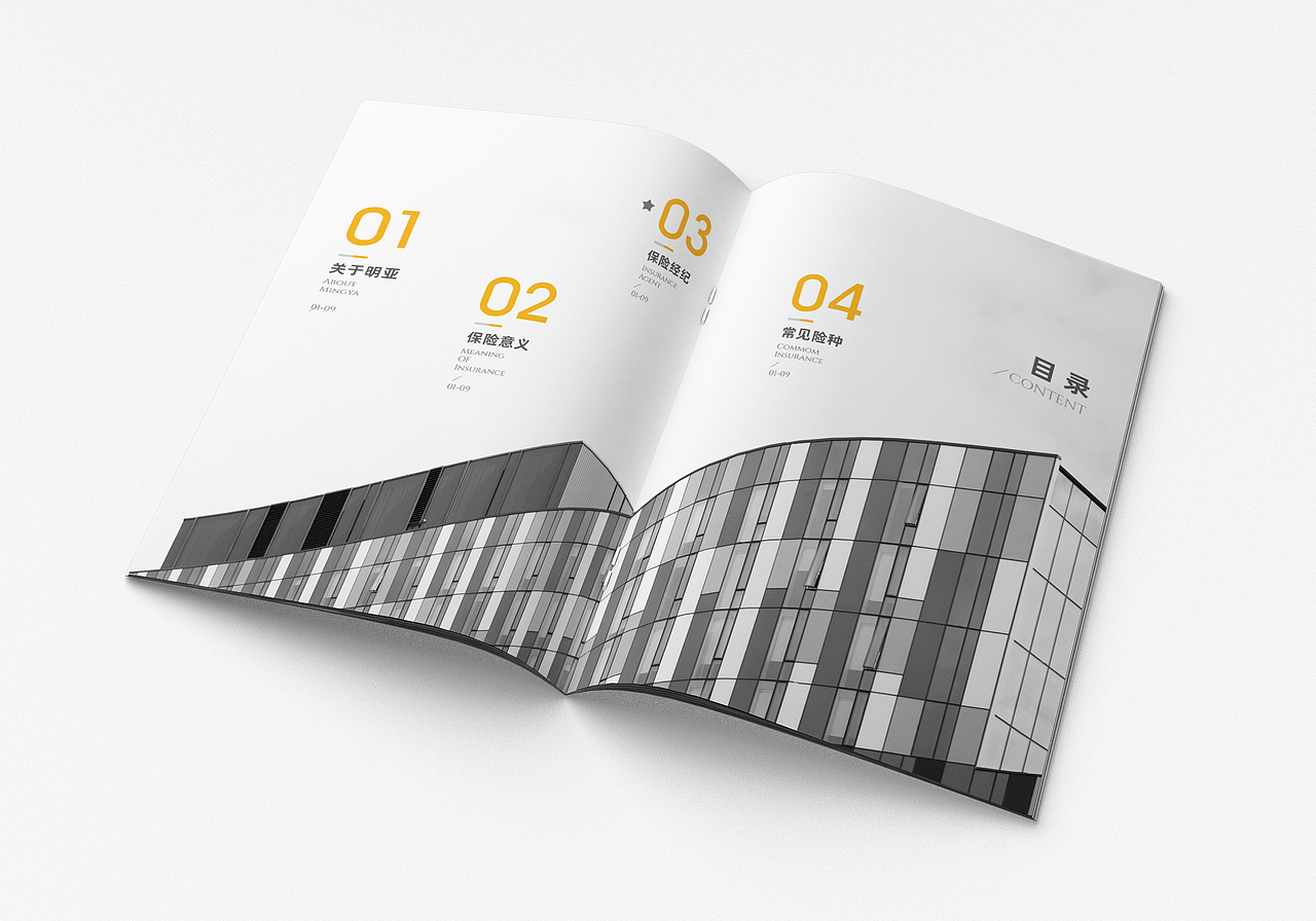 2020收官之作：保险行业宣传画册排版版式设计（图ZMjM2MDIwOTIw） - 书籍/画册 - 站酷设计师代老Sei原创素材 - 站酷ZCOOL