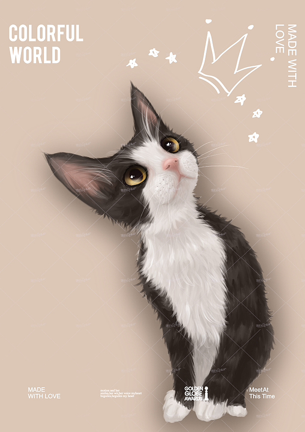 宠物画像🐈⬛系列