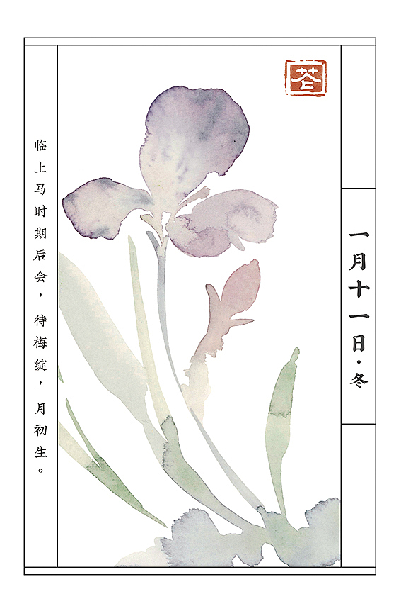 水彩水墨传统花卉《花词赋》 国潮中国风插画 明信片（图ZMjc0NjAwNjcy） - 商业插画 - 站酷设计师弯总还是不会画猫原创素材 - 站酷ZCOOL