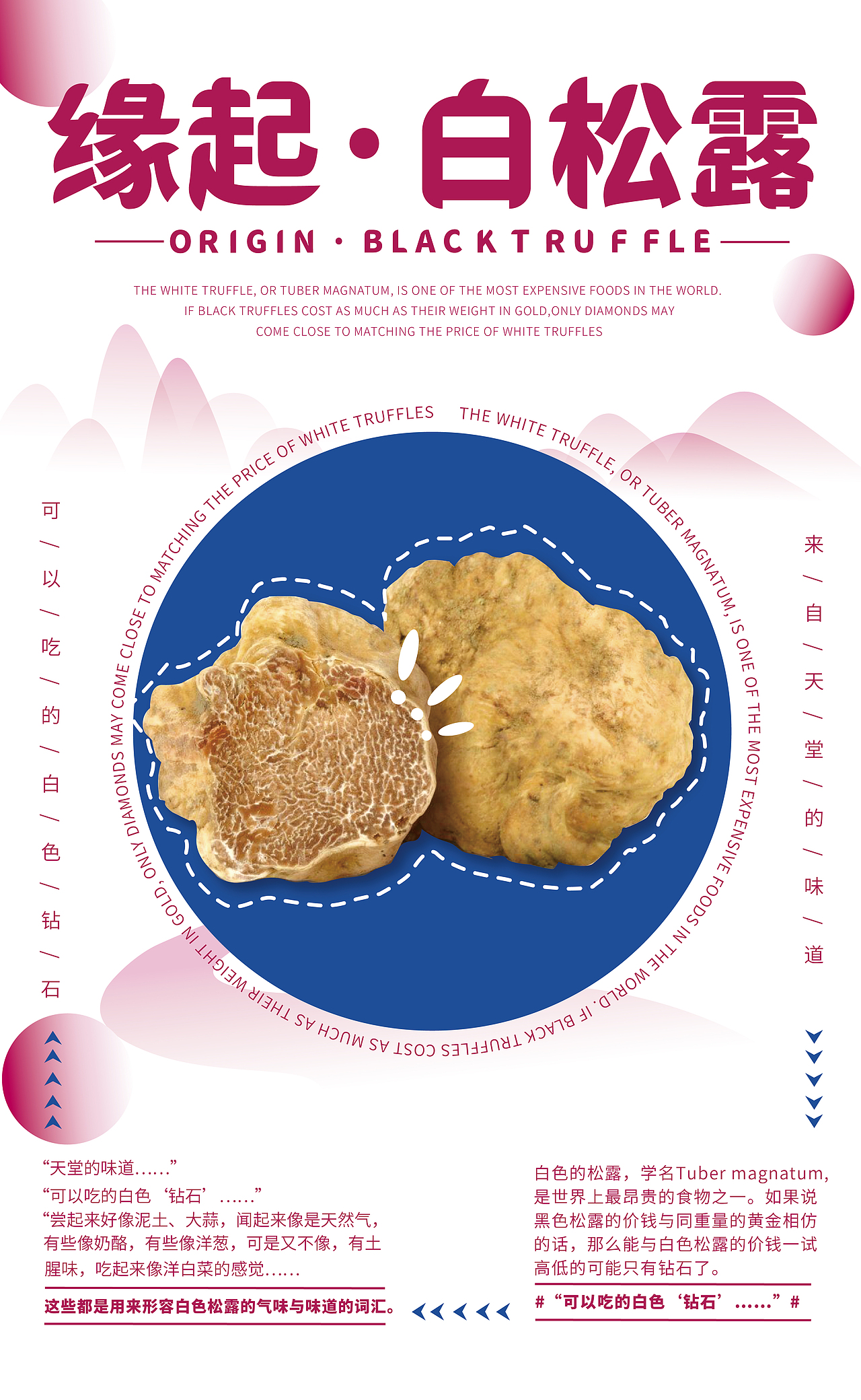 白松露 海报训练