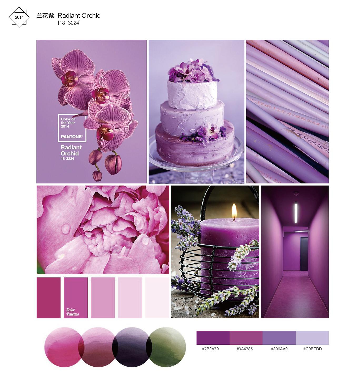2014年 兰花紫 Pantone编号18-3224，迷人、神奇和有些神秘。