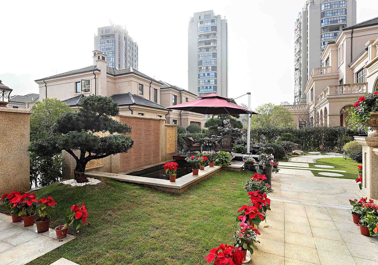 浅浅岁月 · 花样年华