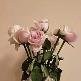 疾风烈酒的头像