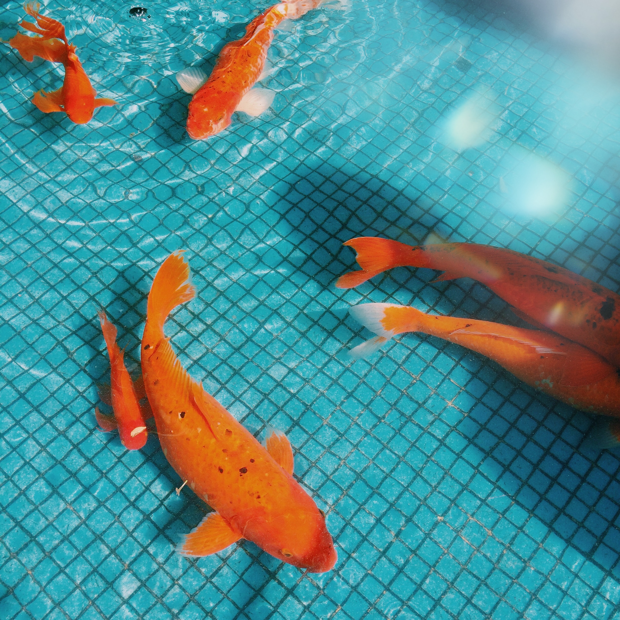 jarychan的个人主页（封面预览） - 主页封面设置 - 站酷设计师jarychan原创素材 - 站酷ZCOOL