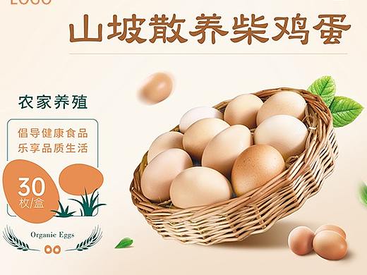 鸡蛋包装盒平面图