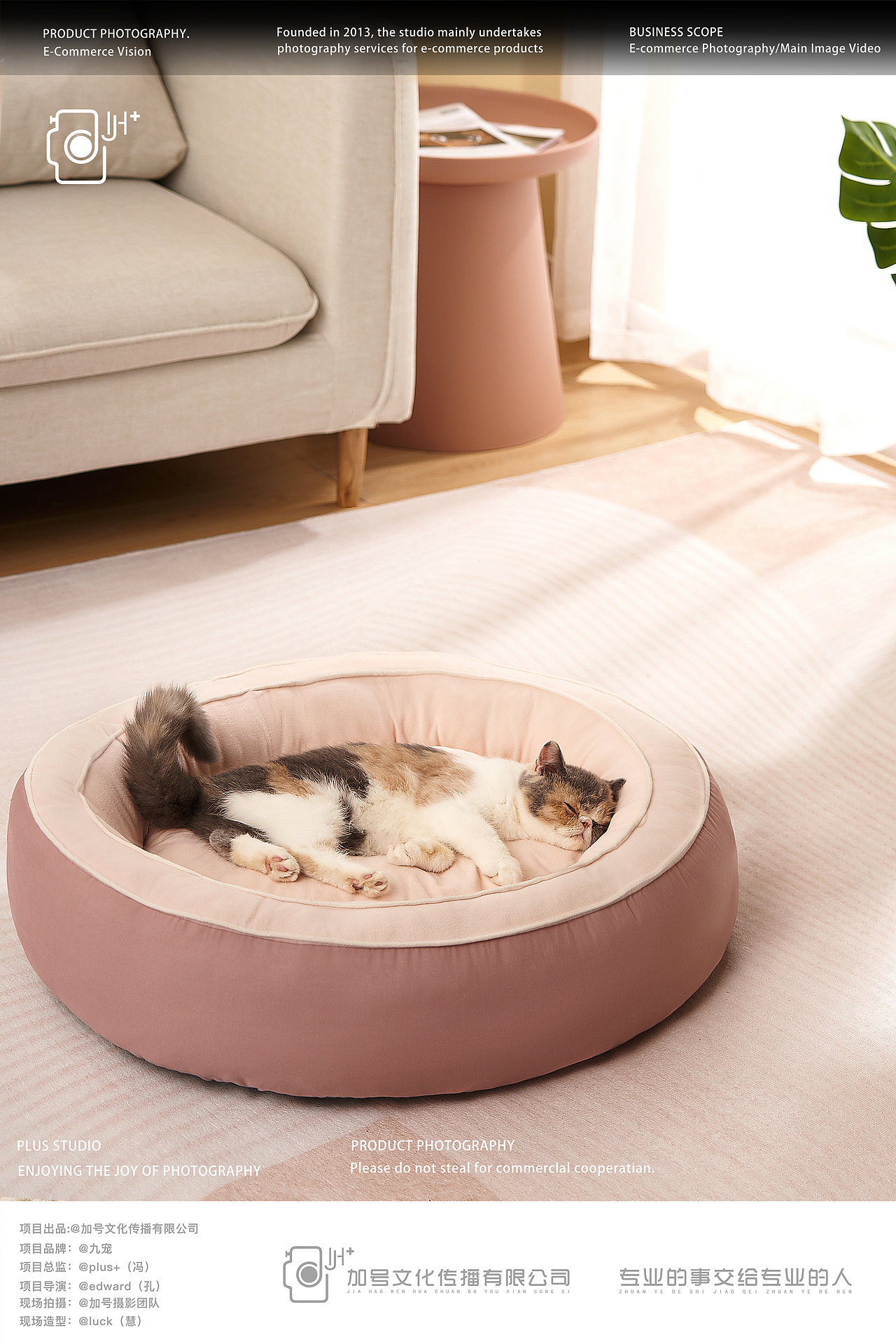猫窝拍摄|九宠猫窝拍摄✖️加号