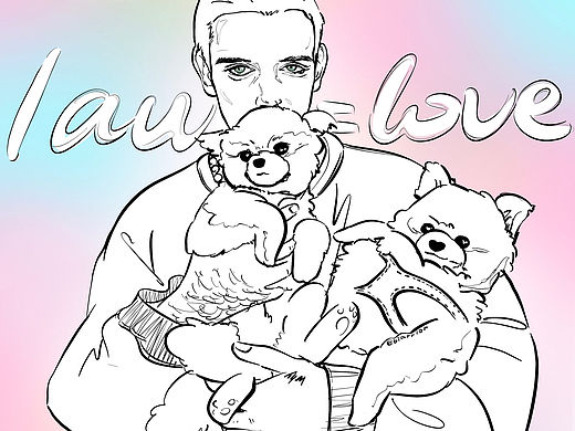 LAUV系列